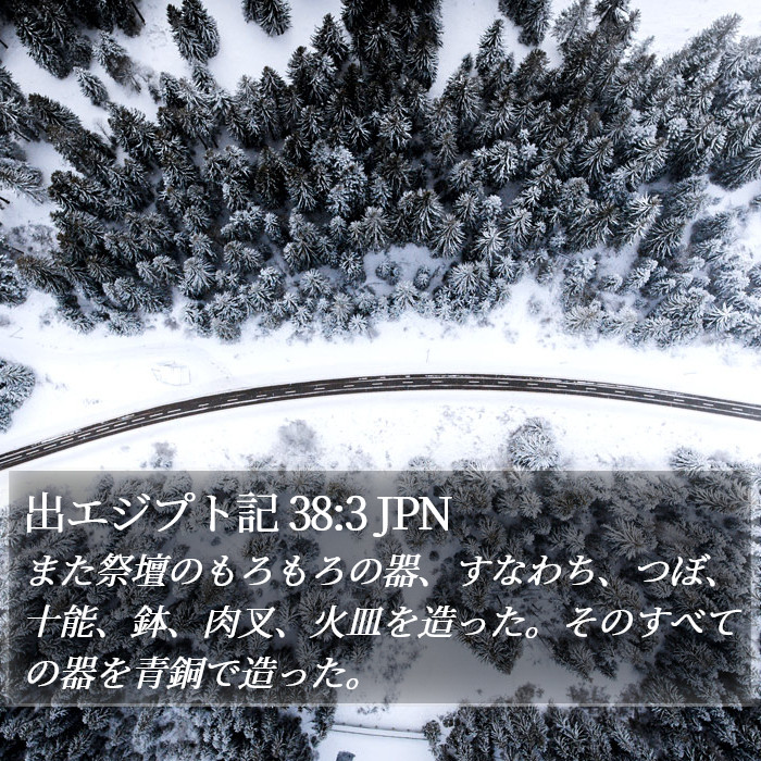 出エジプト記 38:3 JPN Bible Study