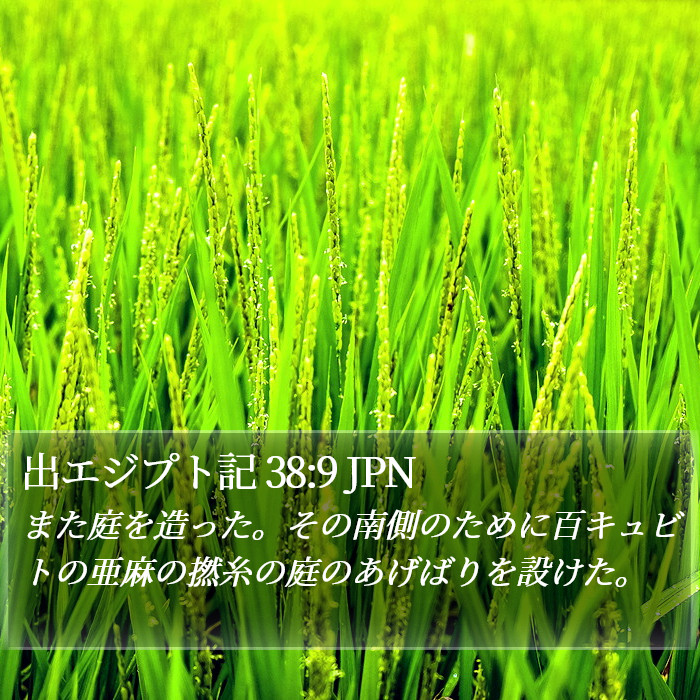 出エジプト記 38:9 JPN Bible Study