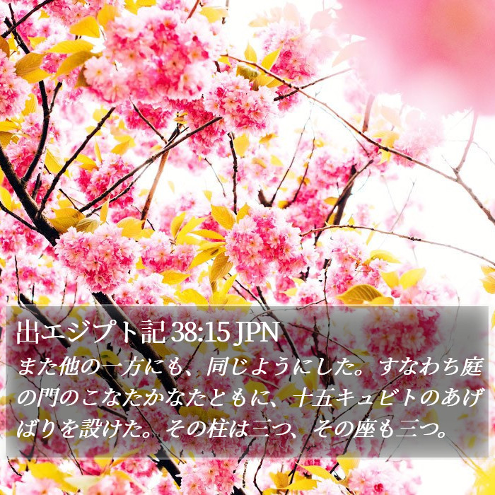 出エジプト記 38:15 JPN Bible Study