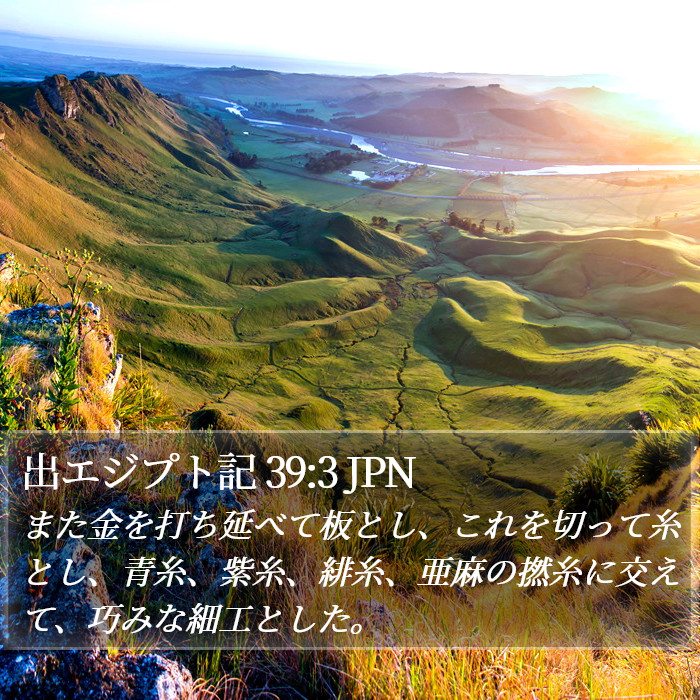 出エジプト記 39:3 JPN Bible Study