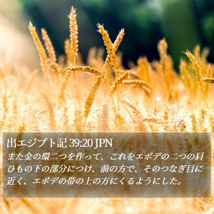 出エジプト記 39:20 JPN Bible Study