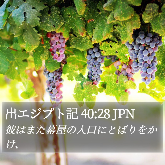 出エジプト記 40:28 JPN Bible Study
