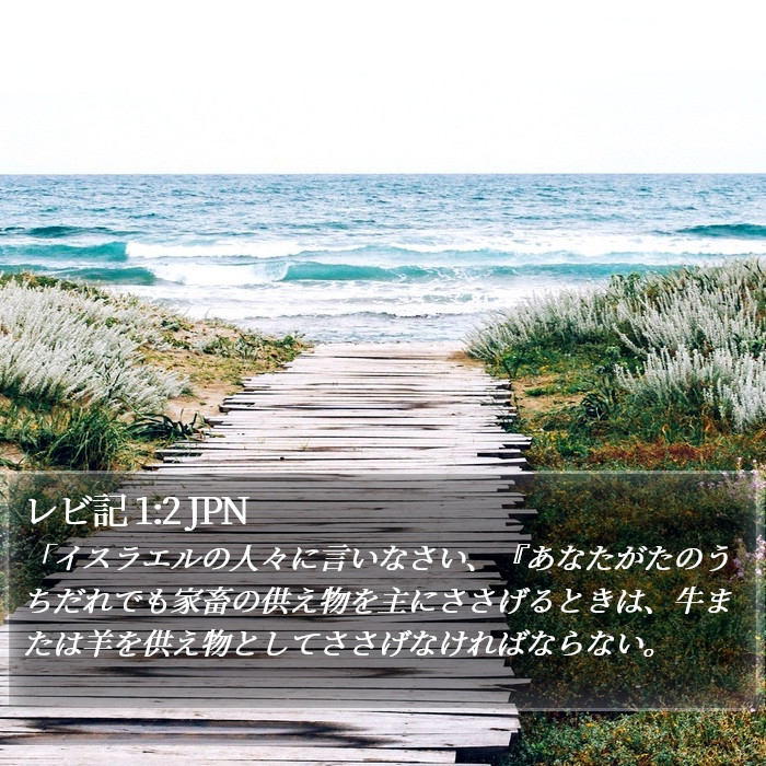 レビ記 1:2 JPN Bible Study