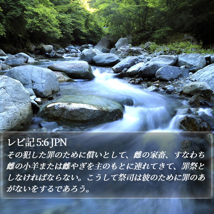 レビ記 5:6 JPN Bible Study