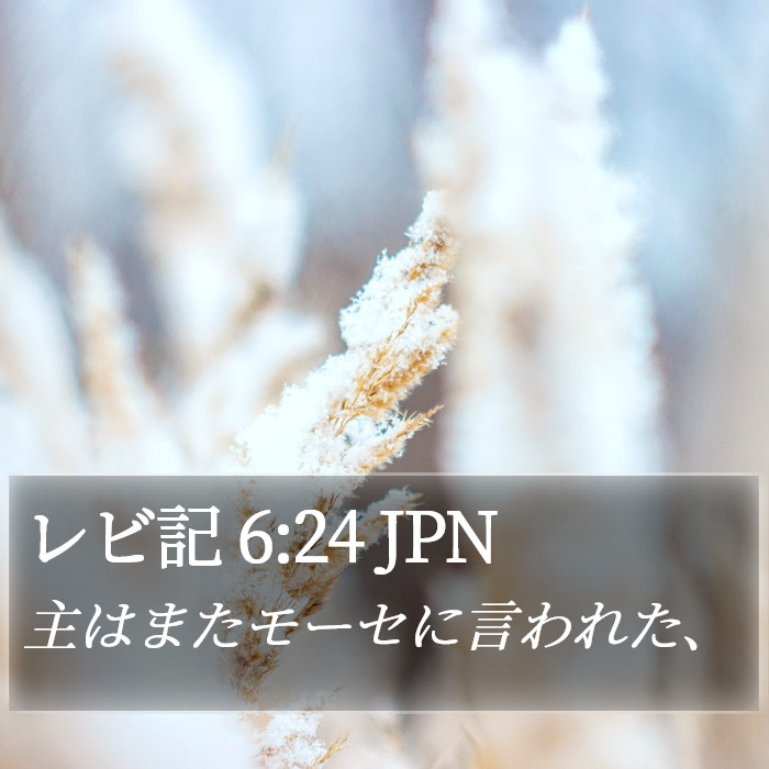 レビ記 6:24 JPN Bible Study