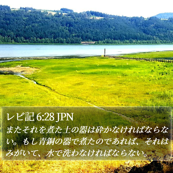 レビ記 6:28 JPN Bible Study