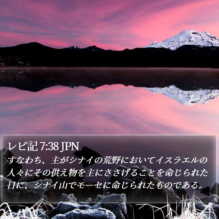 レビ記 7:38 JPN Bible Study