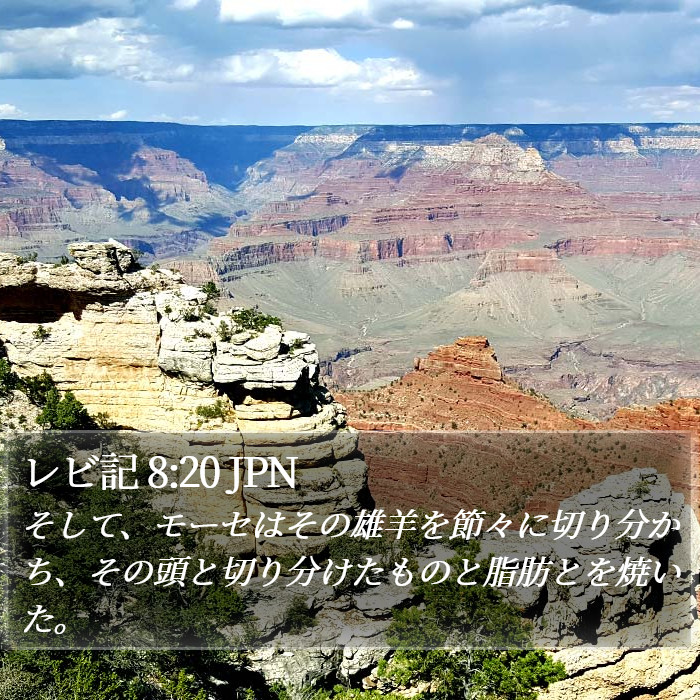 レビ記 8:20 JPN Bible Study