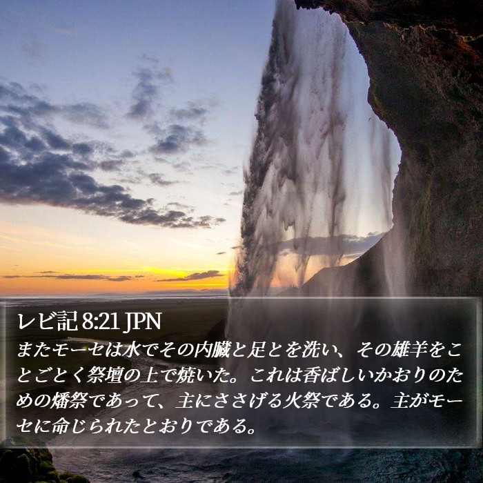 レビ記 8:21 JPN Bible Study