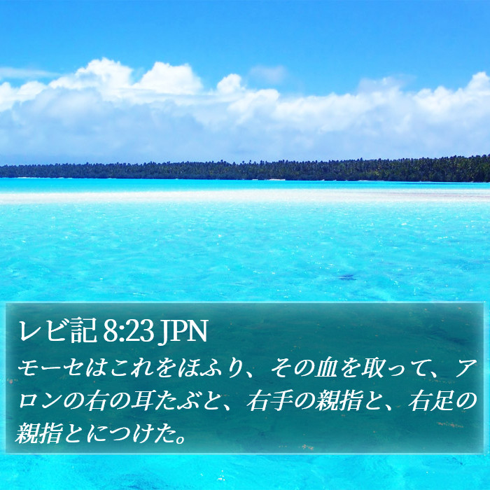 レビ記 8:23 JPN Bible Study