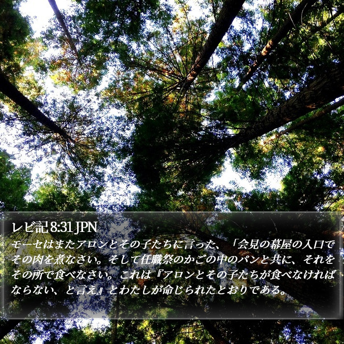 レビ記 8:31 JPN Bible Study