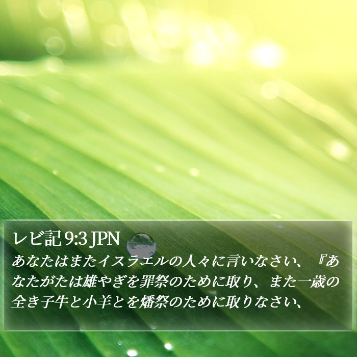 レビ記 9:3 JPN Bible Study