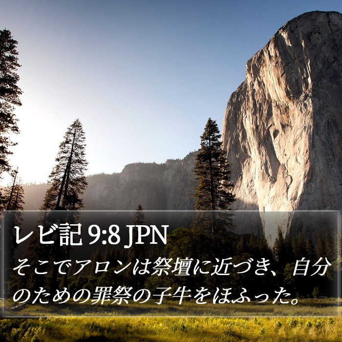 レビ記 9:8 JPN Bible Study