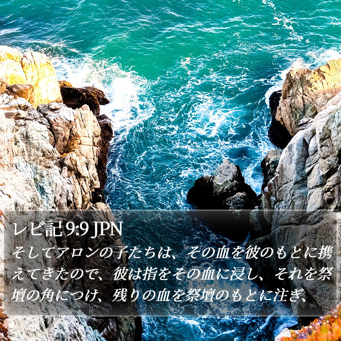 レビ記 9:9 JPN Bible Study