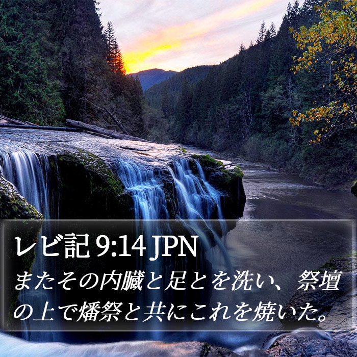 レビ記 9:14 JPN Bible Study