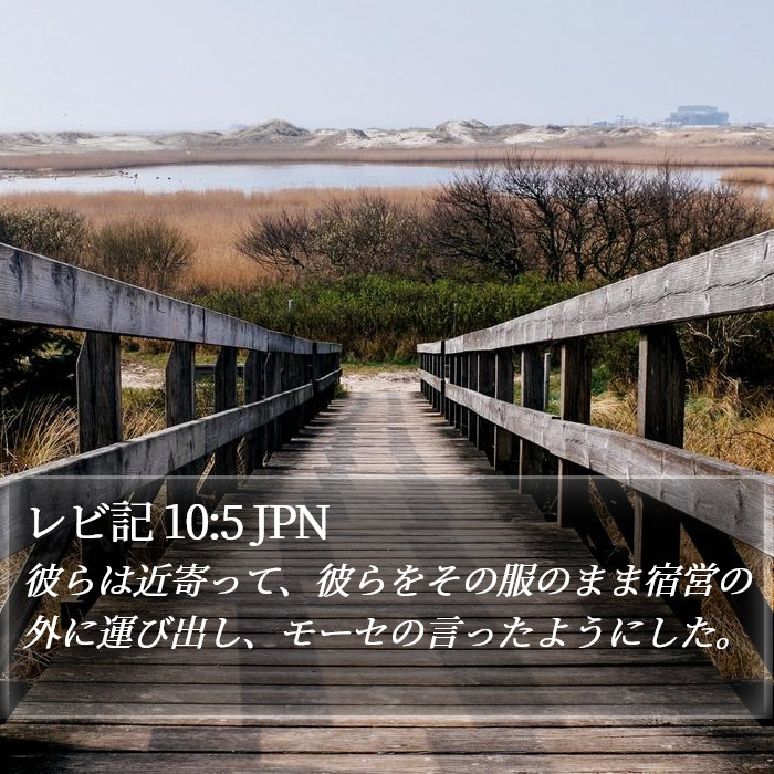 レビ記 10:5 JPN Bible Study