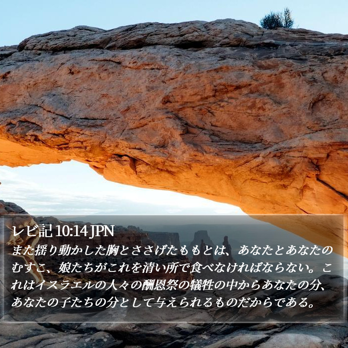レビ記 10:14 JPN Bible Study