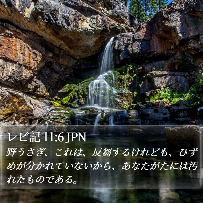 レビ記 11:6 JPN Bible Study