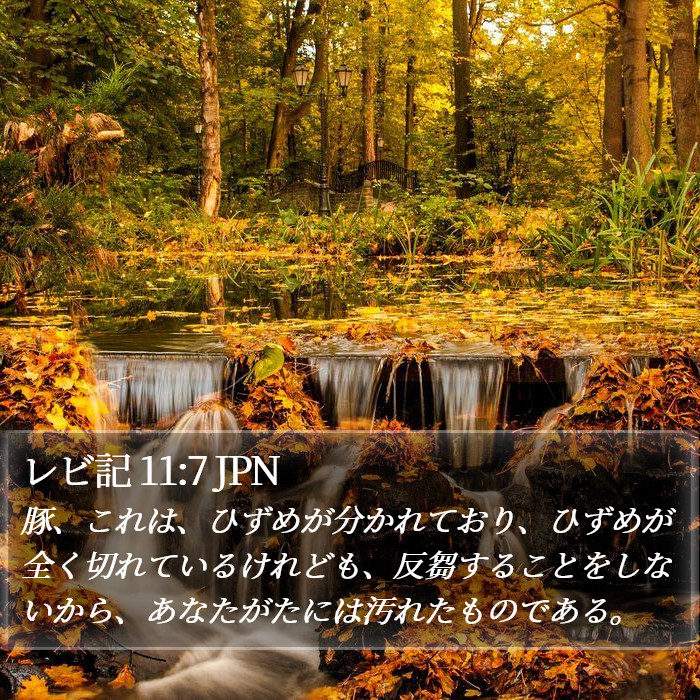 レビ記 11:7 JPN Bible Study