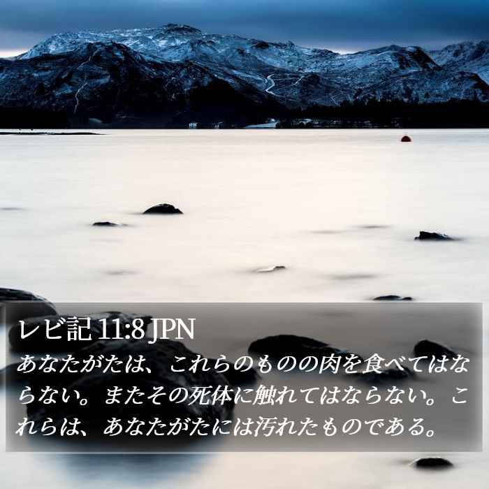 レビ記 11:8 JPN Bible Study