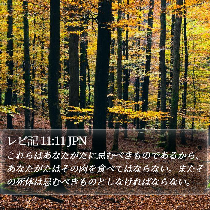 レビ記 11:11 JPN Bible Study