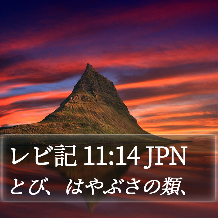 レビ記 11:14 JPN Bible Study