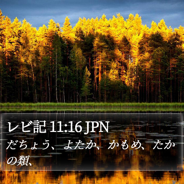 レビ記 11:16 JPN Bible Study