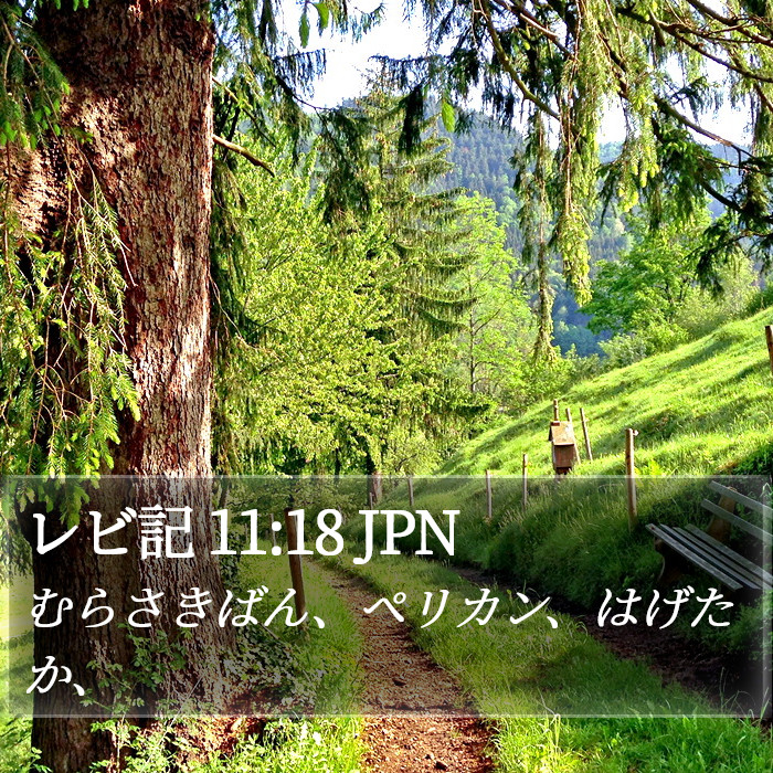 レビ記 11:18 JPN Bible Study