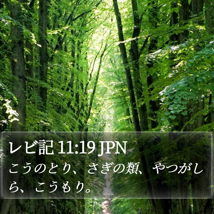 レビ記 11:19 JPN Bible Study