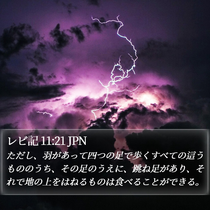 レビ記 11:21 JPN Bible Study