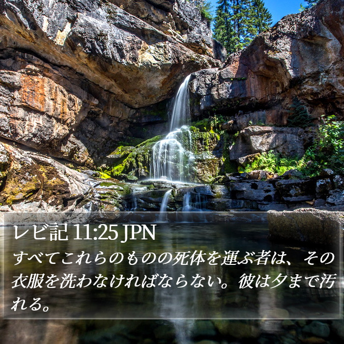 レビ記 11:25 JPN Bible Study