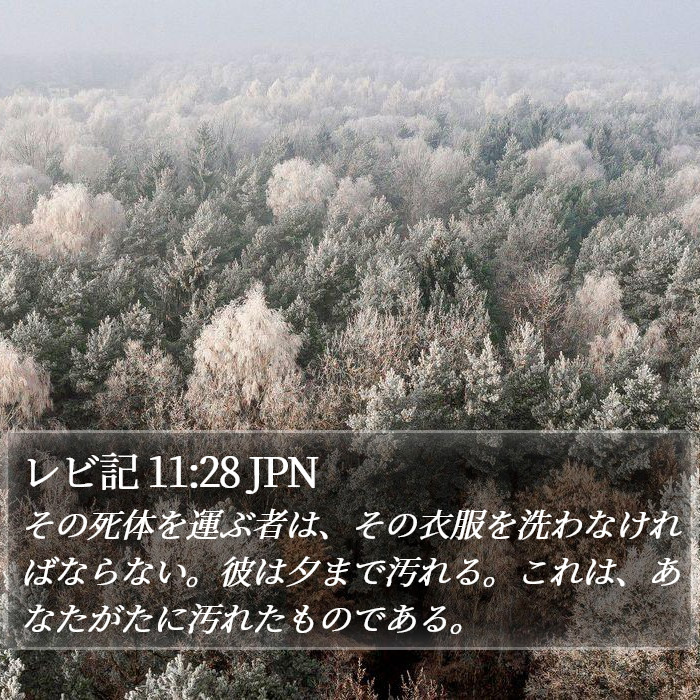 レビ記 11:28 JPN Bible Study