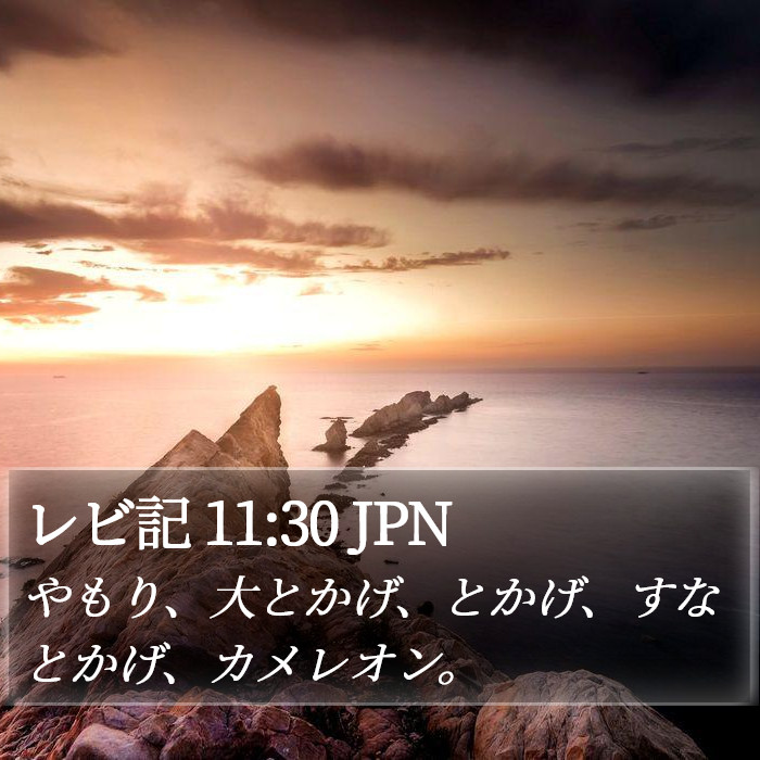 レビ記 11:30 JPN Bible Study