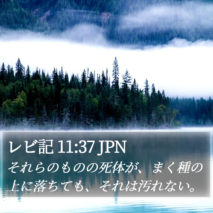 レビ記 11:37 JPN Bible Study