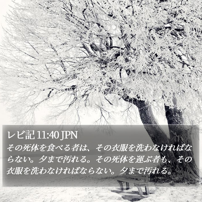 レビ記 11:40 JPN Bible Study