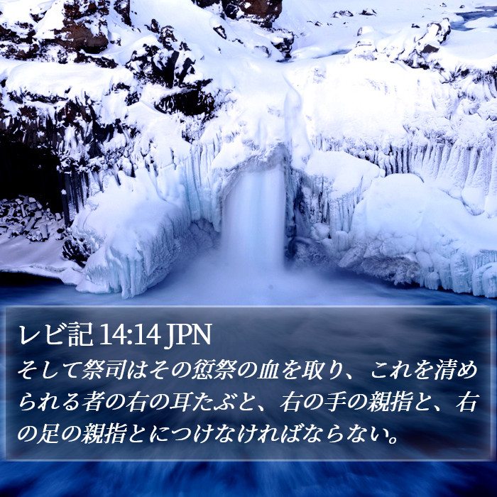 レビ記 14:14 JPN Bible Study