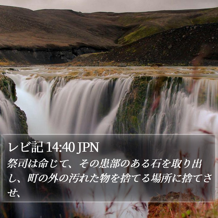 レビ記 14:40 JPN Bible Study