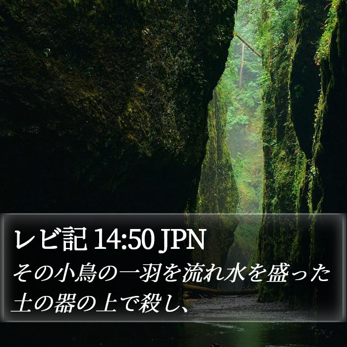 レビ記 14:50 JPN Bible Study