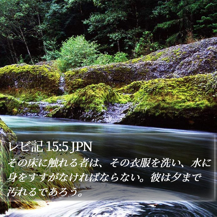 レビ記 15:5 JPN Bible Study