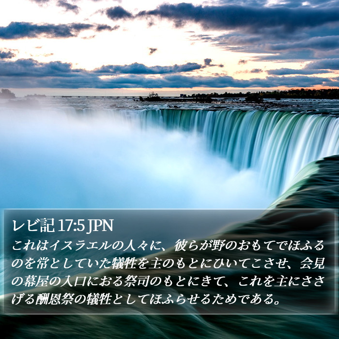 レビ記 17:5 JPN Bible Study