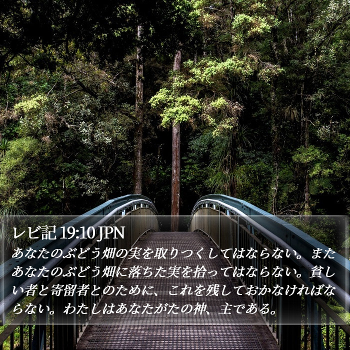 レビ記 19:10 JPN Bible Study