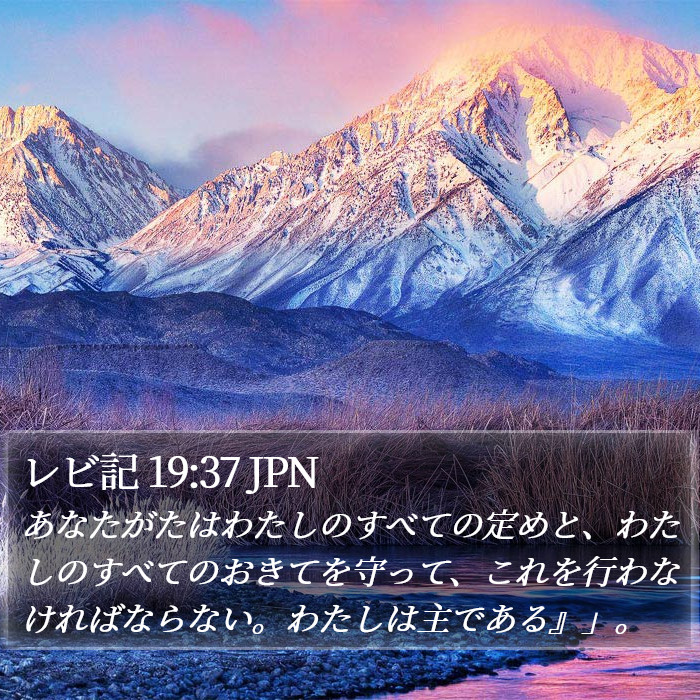 レビ記 19:37 JPN Bible Study