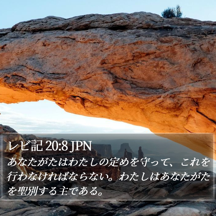レビ記 20:8 JPN Bible Study