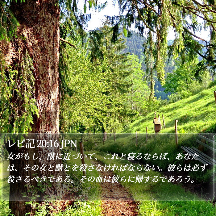 レビ記 20:16 JPN Bible Study