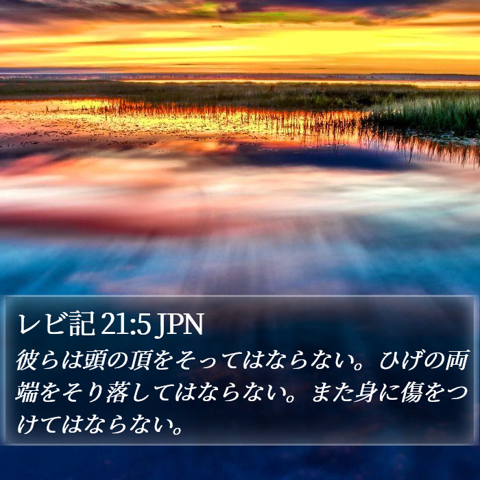 レビ記 21:5 JPN Bible Study