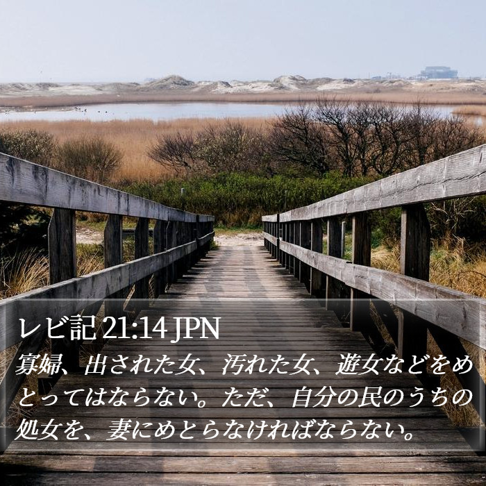 レビ記 21:14 JPN Bible Study