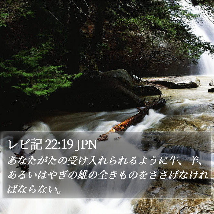 レビ記 22:19 JPN Bible Study