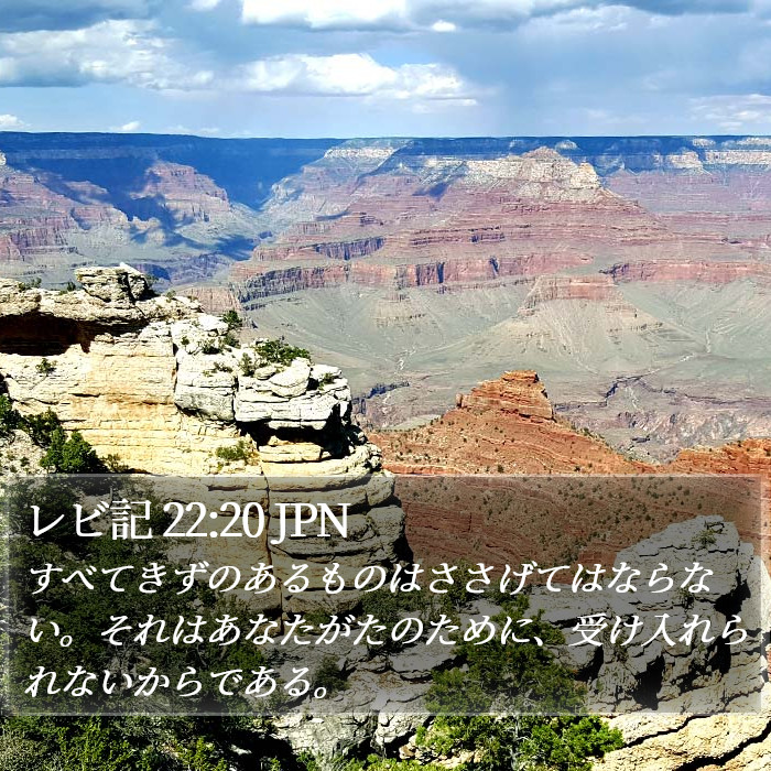 レビ記 22:20 JPN Bible Study