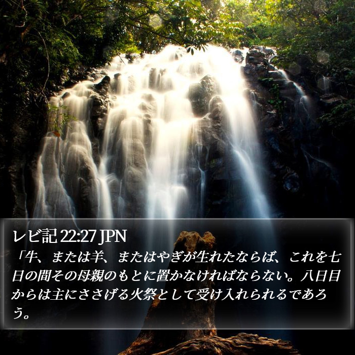 レビ記 22:27 JPN Bible Study