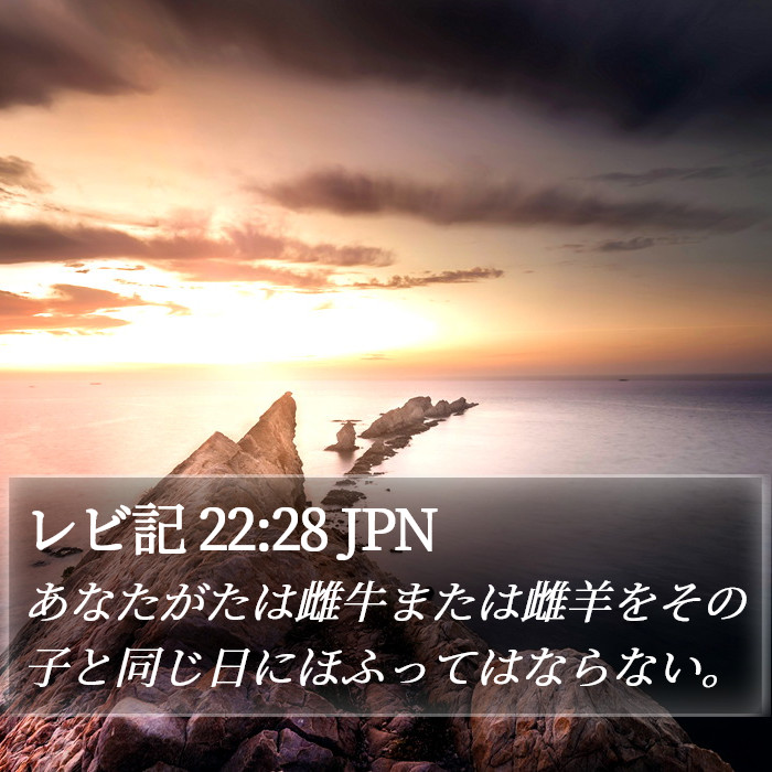 レビ記 22:28 JPN Bible Study